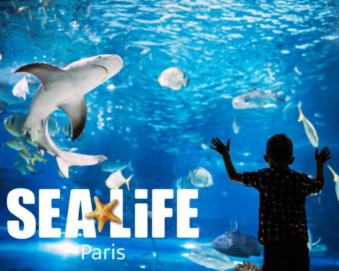 L Eiffel Disney 5Min Paris 35Min Parking Terrasse سيري المظهر الخارجي الصورة